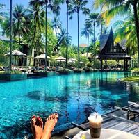 Отзыв от Аврора - DTV виза